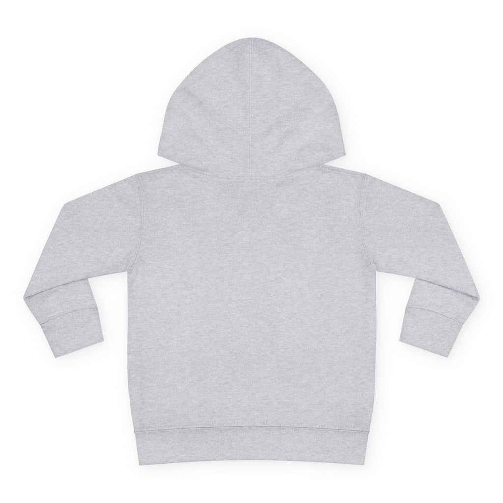 Beautiful Ballerina Toddler Hoodie