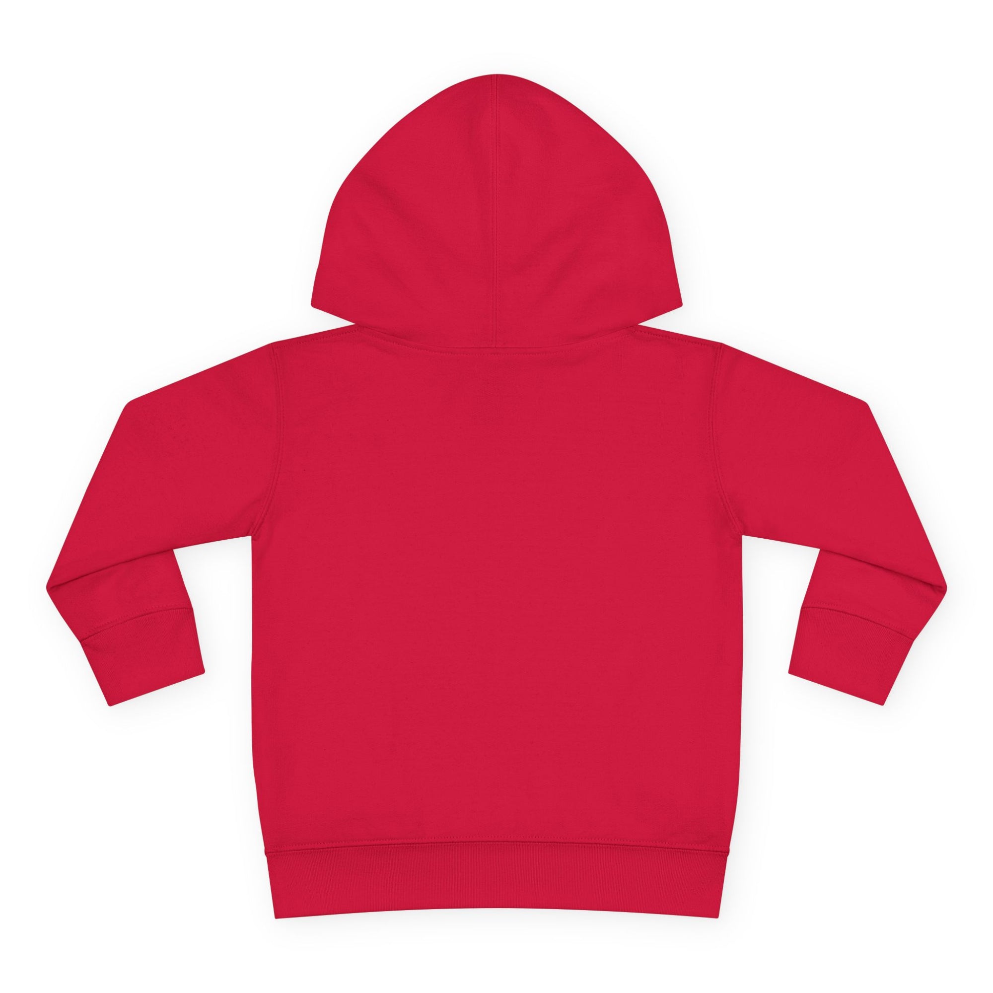 Beautiful Ballerina Toddler Hoodie